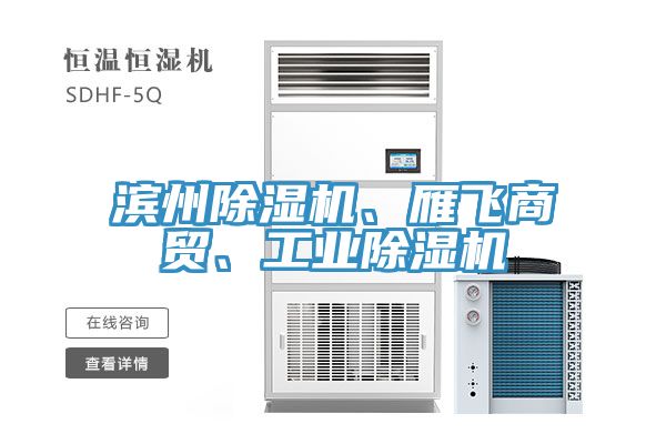 濱州除濕機、雁飛商貿、工業除濕機