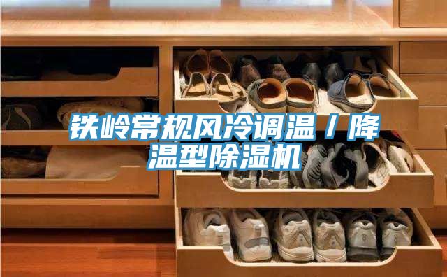鐵嶺常規風冷調溫/降溫型除濕機