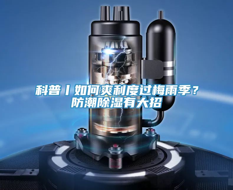 科普丨如何爽利度過梅雨季？防潮除濕有大招