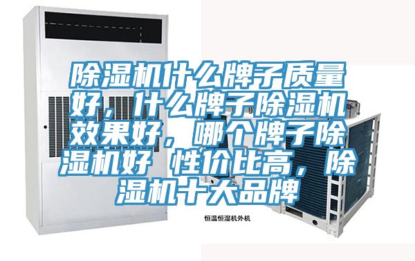除濕機(jī)什么牌子質(zhì)量好,什么牌子除濕機(jī)效果好,哪個(gè)牌子除濕機(jī)好 性價(jià)比高,除濕機(jī)十大品牌