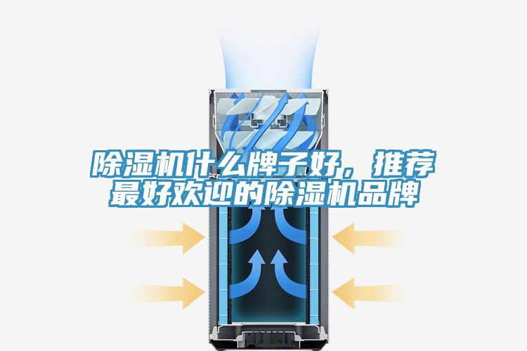 除濕機什么牌子好，推薦最好歡迎的除濕機品牌