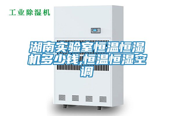 湖南實(shí)驗室恒溫恒濕機(jī)多少錢,恒溫恒濕空調(diào)
