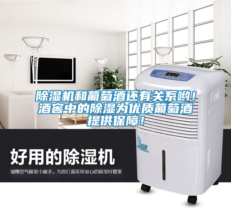 除濕機和葡萄酒還有關系喲!酒窖中的除濕為優質葡萄酒提供保障!