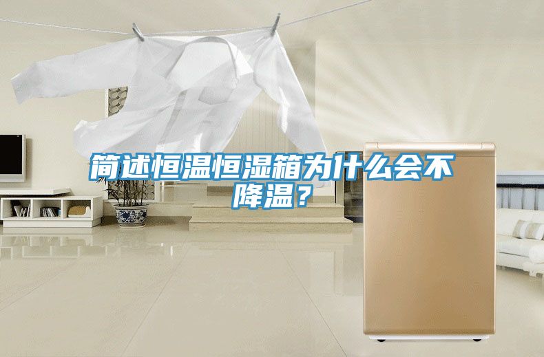 簡述恒溫恒濕箱為什么會不降溫？