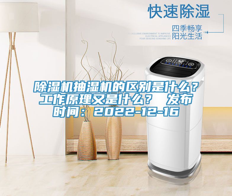 除濕機抽濕機的區別是什么？工作原理又是什么？ 發布時間：2022-12-16