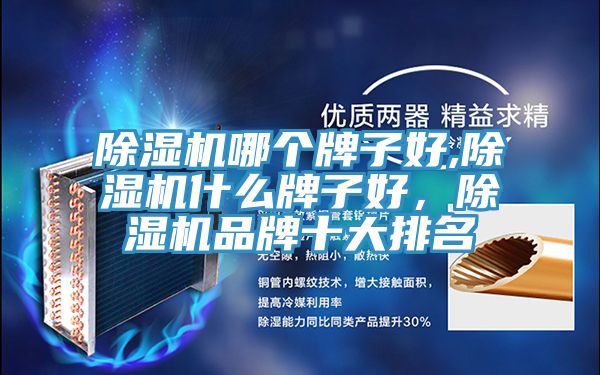 除濕機哪個牌子好,除濕機什么牌子好,除濕機品牌十大排名