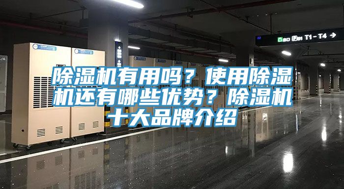 除濕機(jī)有用嗎？使用除濕機(jī)還有哪些優(yōu)勢？除濕機(jī)十大品牌介紹