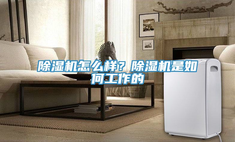 除濕機怎么樣？除濕機是如何工作的