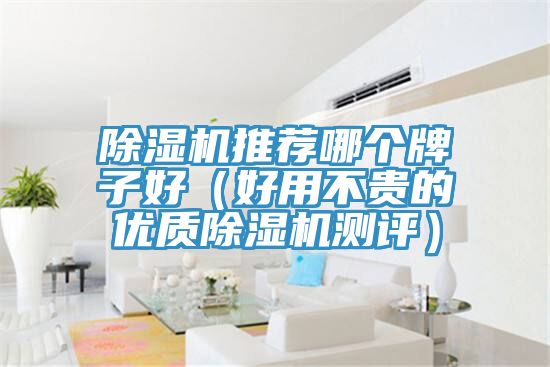 除濕機推薦哪個牌子好(好用不貴的優(yōu)質除濕機測評)