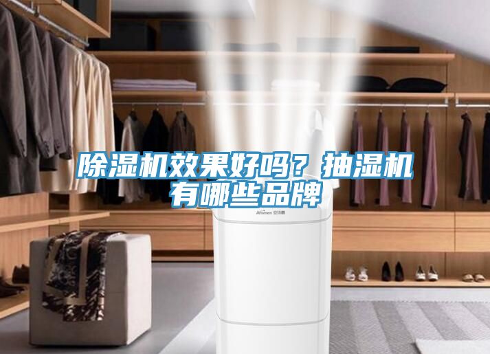 除濕機效果好嗎？抽濕機有哪些品牌