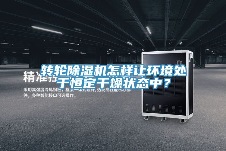 轉輪除濕機怎樣讓環境處于恒定干燥狀態中？
