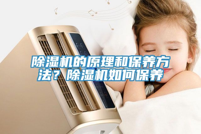 除濕機的原理和保養(yǎng)方法？除濕機如何保養(yǎng)