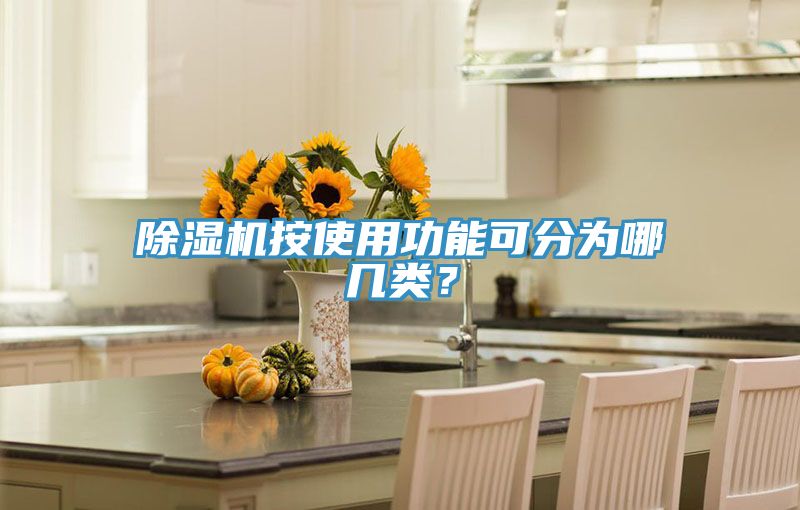 除濕機按使用功能可分為哪幾類？